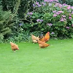 Bed & Breakfast Munkebjerg