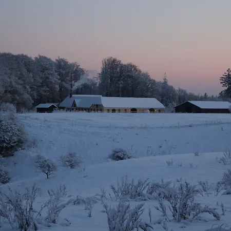 Munkebjerg فندق مبيت وإفطار