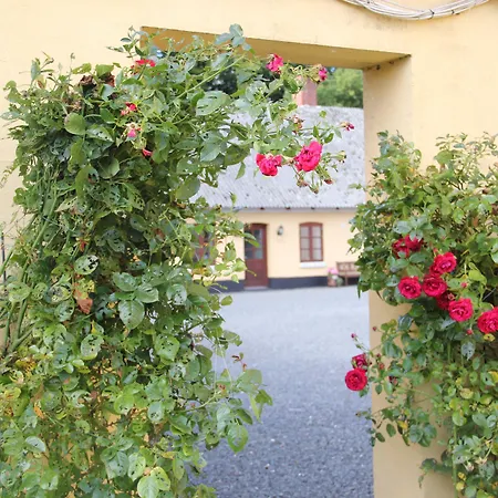 Munkebjerg Alojamento de Acomodação e Pequeno-almoço