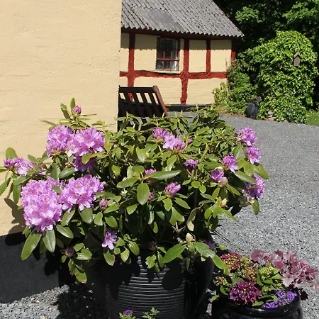 Frühstückspension Munkebjerg Børkop