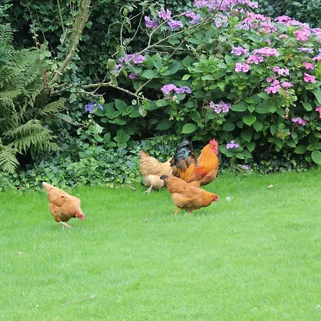 Bed & Breakfast Munkebjerg