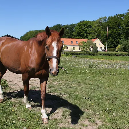 Bed & Breakfast Munkebjerg 3*