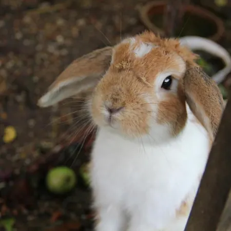 Munkebjerg فندق مبيت وإفطار
