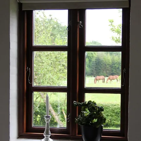 Munkebjerg Bed & Breakfast Borkop