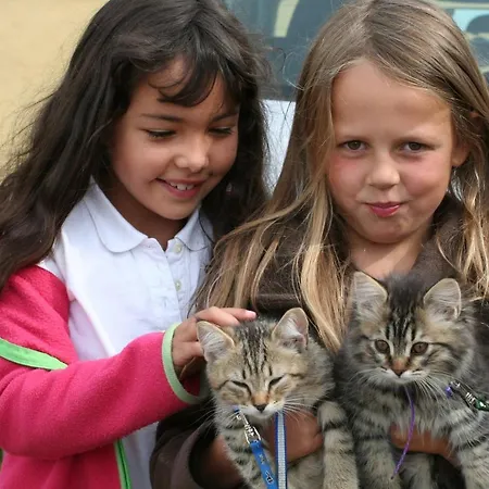 فندق مبيت وإفطار Munkebjerg