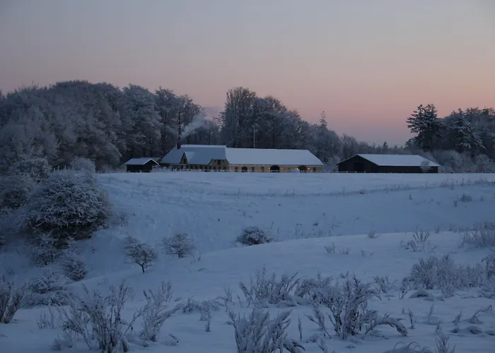 Munkebjerg Bed and breakfast