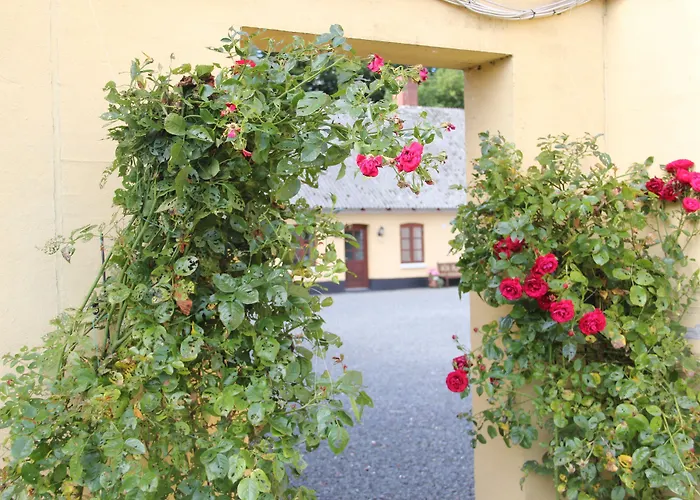 Munkebjerg Bed & Breakfast