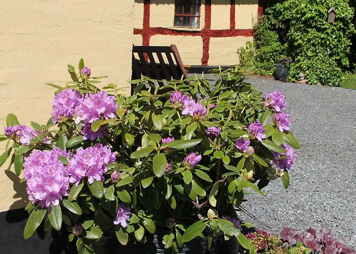 Bed & Breakfast Munkebjerg Børkop