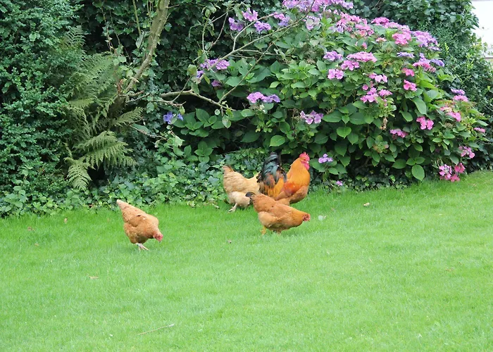 Bed & Breakfast Munkebjerg