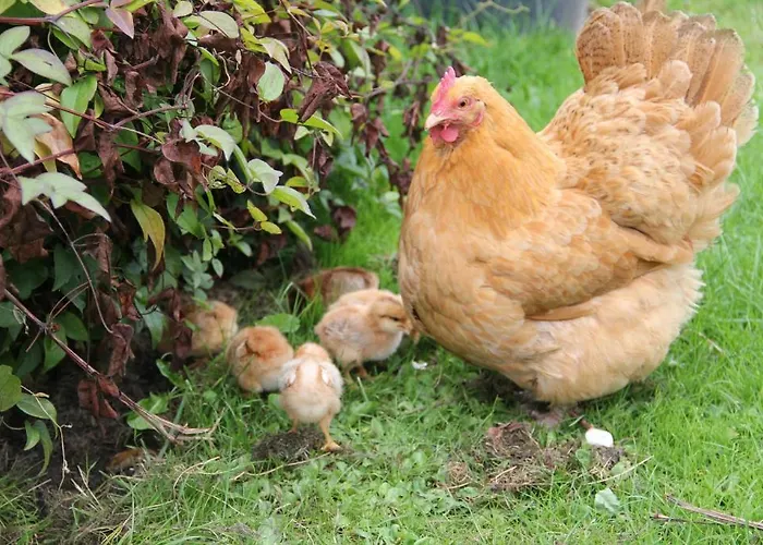 Bed & Breakfast Munkebjerg Børkop