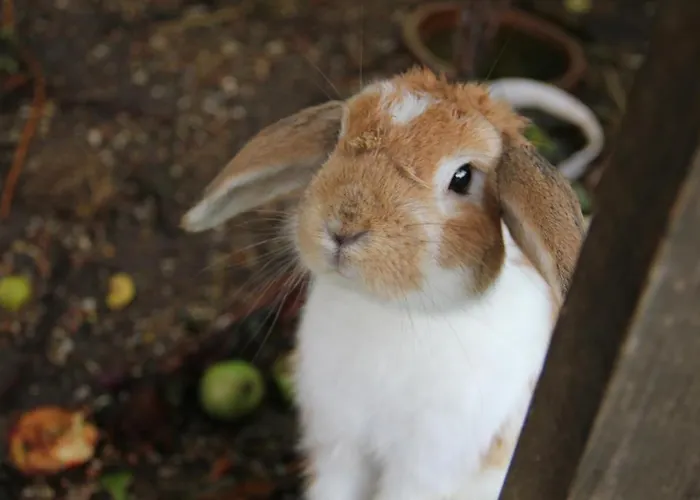 Munkebjerg Bed and breakfast