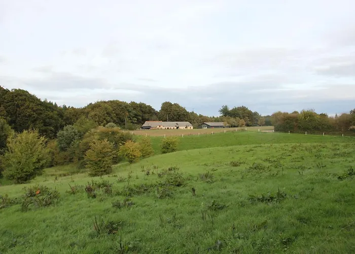 Munkebjerg Bed and breakfast Børkop