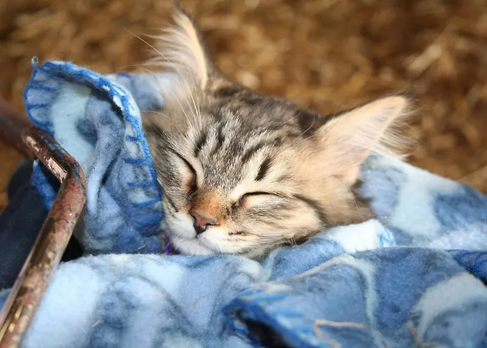 Munkebjerg Bed & Breakfast Børkop