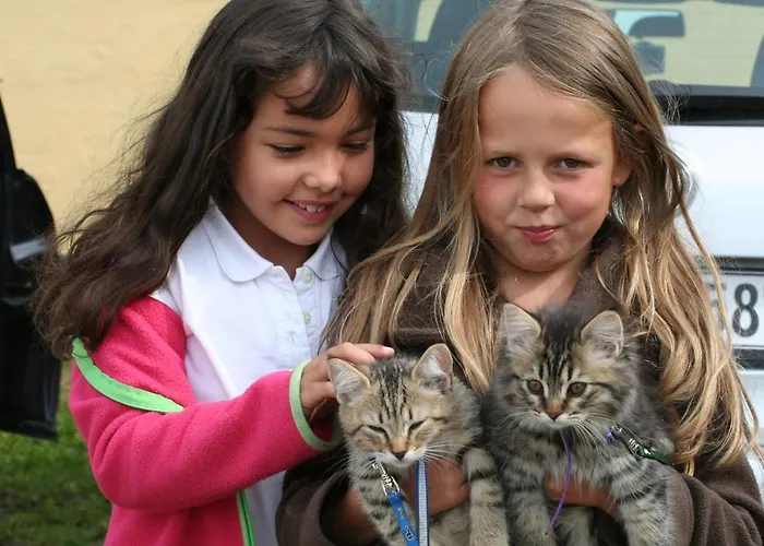 Bed & Breakfast Munkebjerg